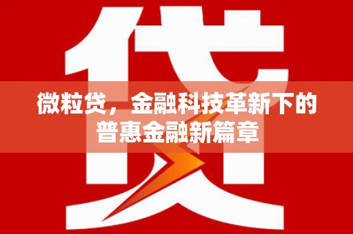 宁晋微粒贷，金融科技革新下的普惠金融新篇章