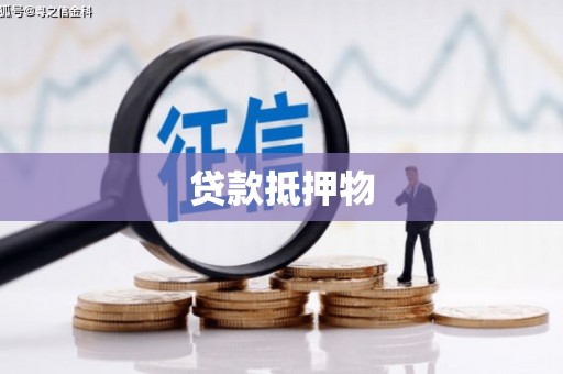 海港贷款抵押物