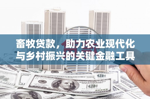 代县畜牧贷款，助力农业现代化与乡村振兴的关键金融工具