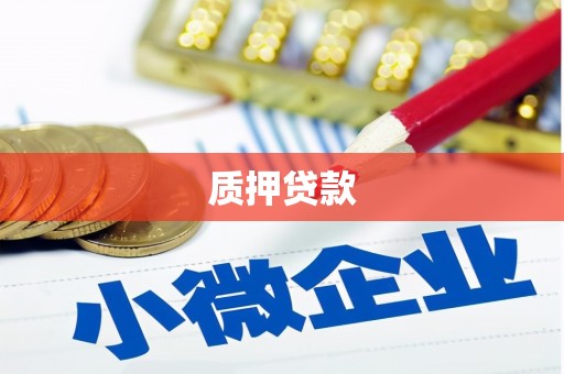 白碱滩质押贷款