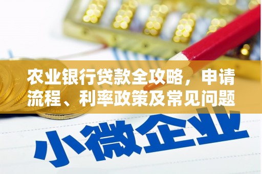 蔡甸农业银行贷款全攻略，申请流程、利率政策及常见问题解析