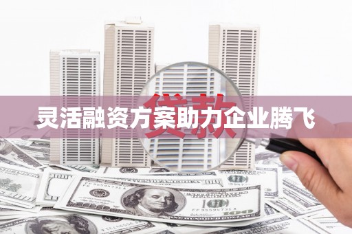 桐庐灵活融资方案助力企业腾飞