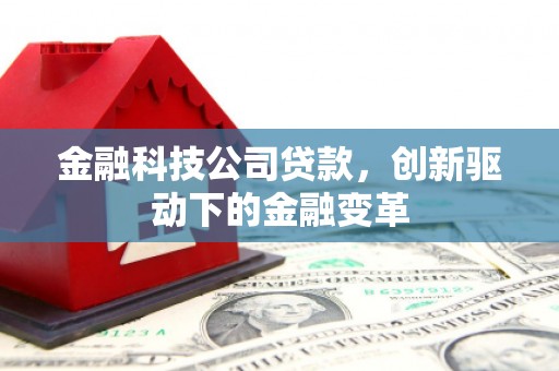宁晋金融科技公司贷款，创新驱动下的金融变革