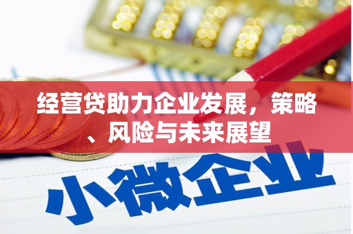 戚墅堰经营贷助力企业发展，策略、风险与未来展望