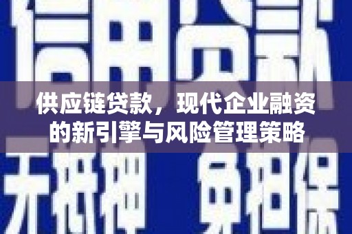 盐田供应链贷款，现代企业融资的新引擎与风险管理策略
