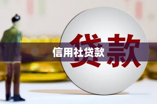 邵武信用社贷款
