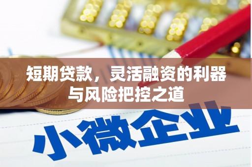 南充短期贷款，灵活融资的利器与风险把控之道