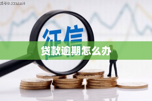 宁县贷款逾期怎么办