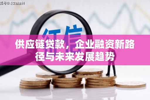 武进供应链贷款，企业融资新路径与未来发展趋势