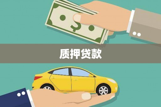南票质押贷款