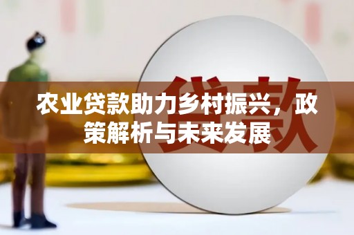 新店农业贷款助力乡村振兴，政策解析与未来发展