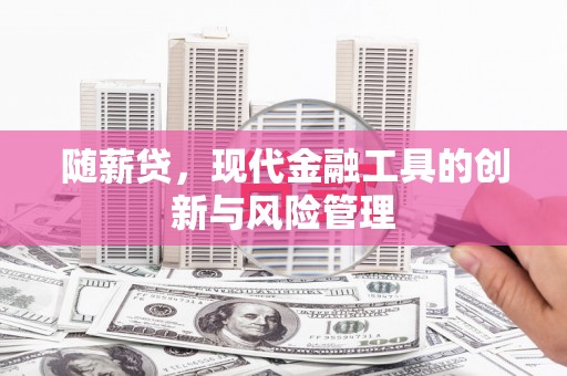 七星随薪贷，现代金融工具的创新与风险管理