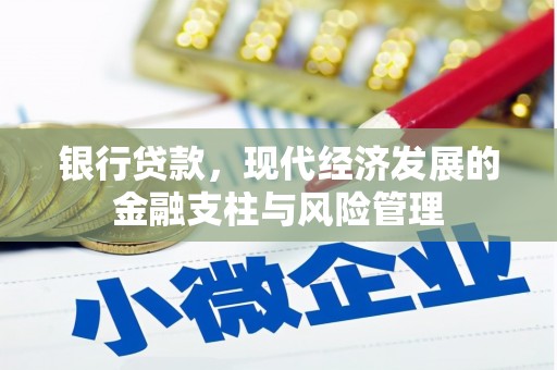 稻城银行贷款，现代经济发展的金融支柱与风险管理