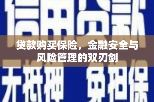 玛家贷款购买保险，金融安全与风险管理的双刃剑