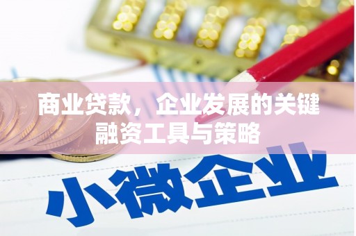 延平商业贷款，企业发展的关键融资工具与策略