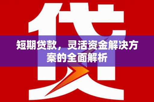 合浦短期贷款，灵活资金解决方案的全面解析