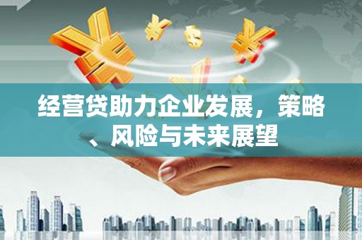 禅城经营贷助力企业发展，策略、风险与未来展望