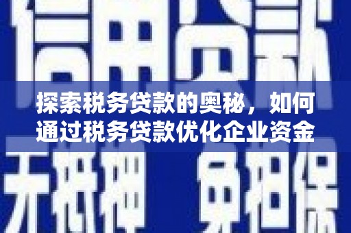 凌海探索税务贷款的奥秘，如何通过税务贷款优化企业资金流