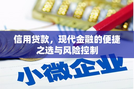 东宝信用贷款，现代金融的便捷之选与风险控制
