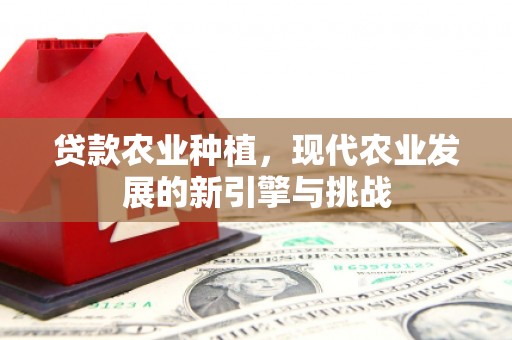 桐庐贷款农业种植，现代农业发展的新引擎与挑战