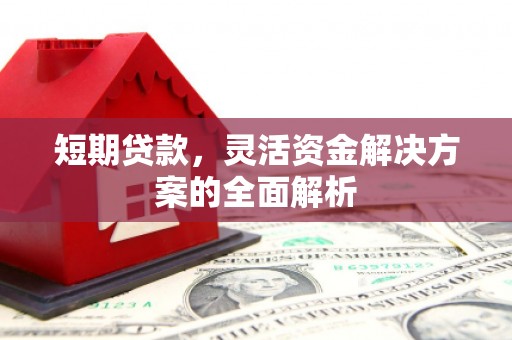 苍溪短期贷款，灵活资金解决方案的全面解析