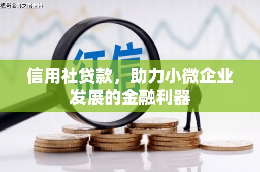 怀来信用社贷款，助力小微企业发展的金融利器