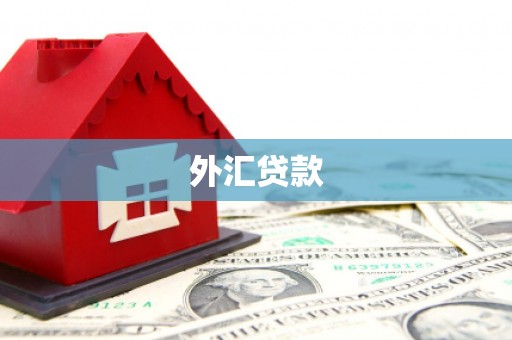 柞水外汇贷款