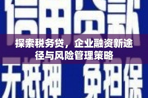 山西探索税务贷，企业融资新途径与风险管理策略