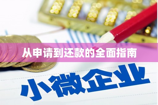 大湖从申请到还款的全面指南