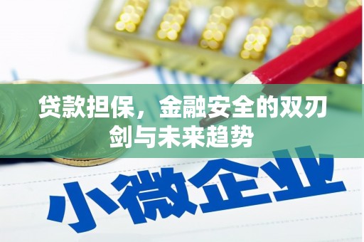 资兴贷款担保，金融安全的双刃剑与未来趋势