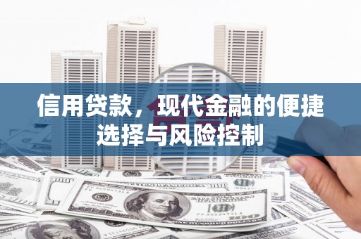 云浮信用贷款，现代金融的便捷选择与风险控制