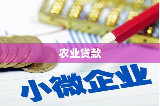 上街农业贷款