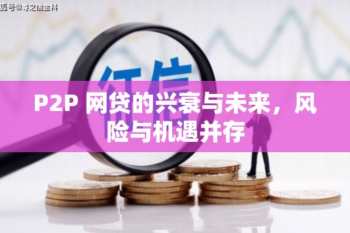 海东P2P 网贷的兴衰与未来，风险与机遇并存