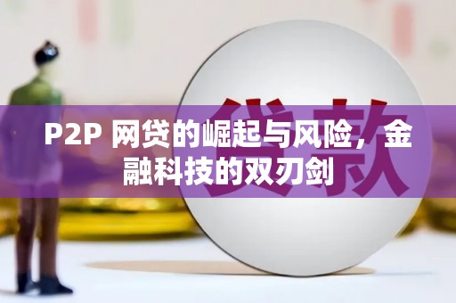 临翔P2P 网贷的崛起与风险，金融科技的双刃剑