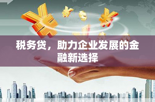 梧州税务贷，助力企业发展的金融新选择