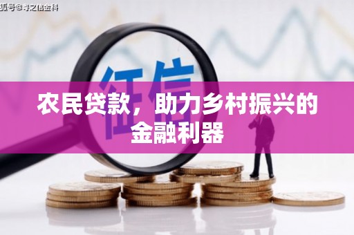大内农民贷款，助力乡村振兴的金融利器