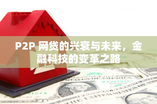 叙永P2P 网贷的兴衰与未来，金融科技的变革之路