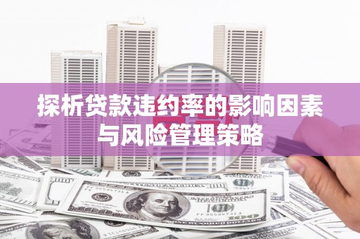 仙游探析贷款违约率的影响因素与风险管理策略