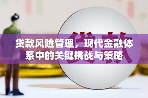 南宫贷款风险管理，现代金融体系中的关键挑战与策略