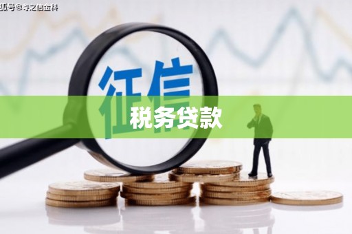 泸溪税务贷款