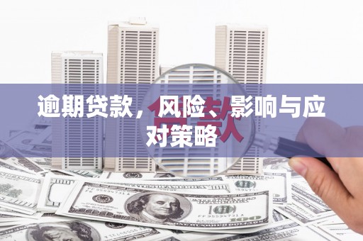 岳阳逾期贷款，风险、影响与应对策略