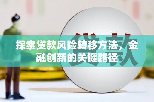 师宗探索贷款风险转移方法，金融创新的关键路径