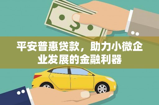 叙永平安普惠贷款，助力小微企业发展的金融利器