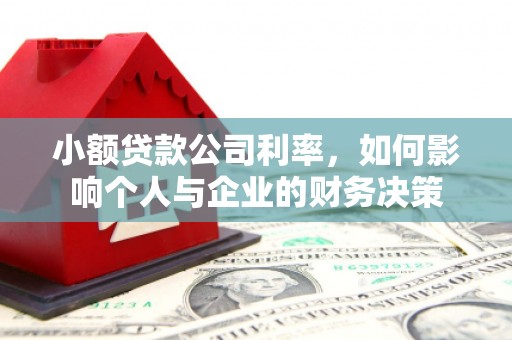 天镇小额贷款公司利率，如何影响个人与企业的财务决策