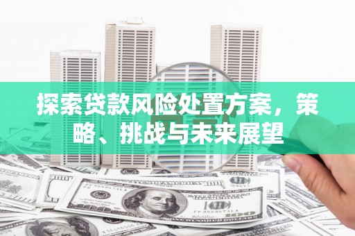 阿合奇探索贷款风险处置方案，策略、挑战与未来展望