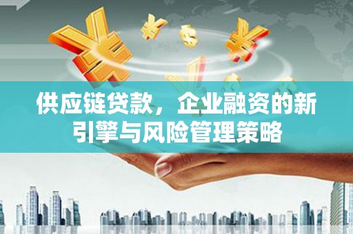 暖暖供应链贷款，企业融资的新引擎与风险管理策略