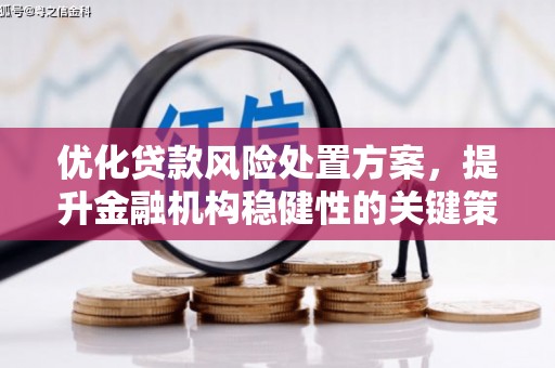万载优化贷款风险处置方案，提升金融机构稳健性的关键策略