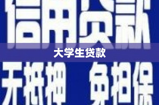 金安大学生贷款
