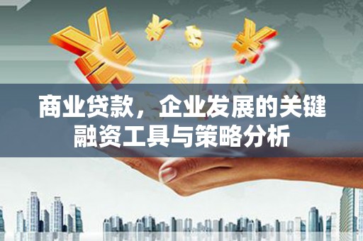 长洲商业贷款，企业发展的关键融资工具与策略分析