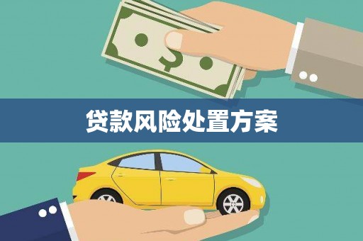 登封贷款风险处置方案